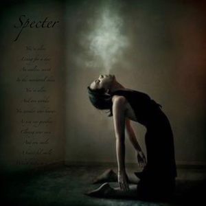 Meet your Posher, Posh